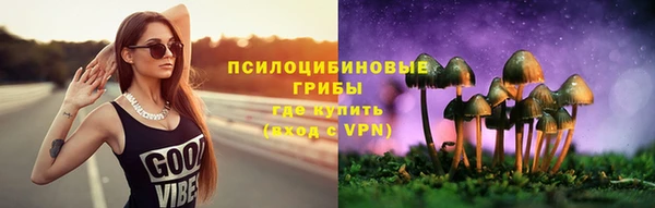 a pvp Алексеевка