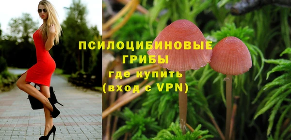 сатива Алексин