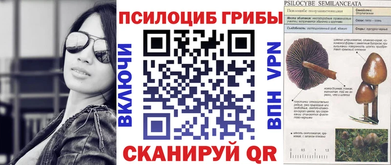 где купить наркоту Навашино Галлюциногенные грибы GOLDEN TEACHER